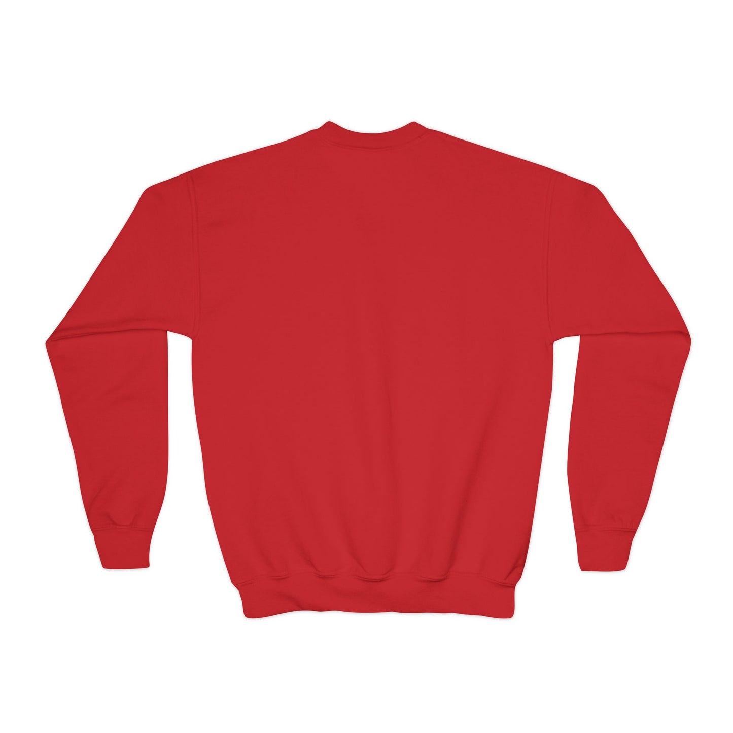 'BYHINNY' sweatshirt youth
