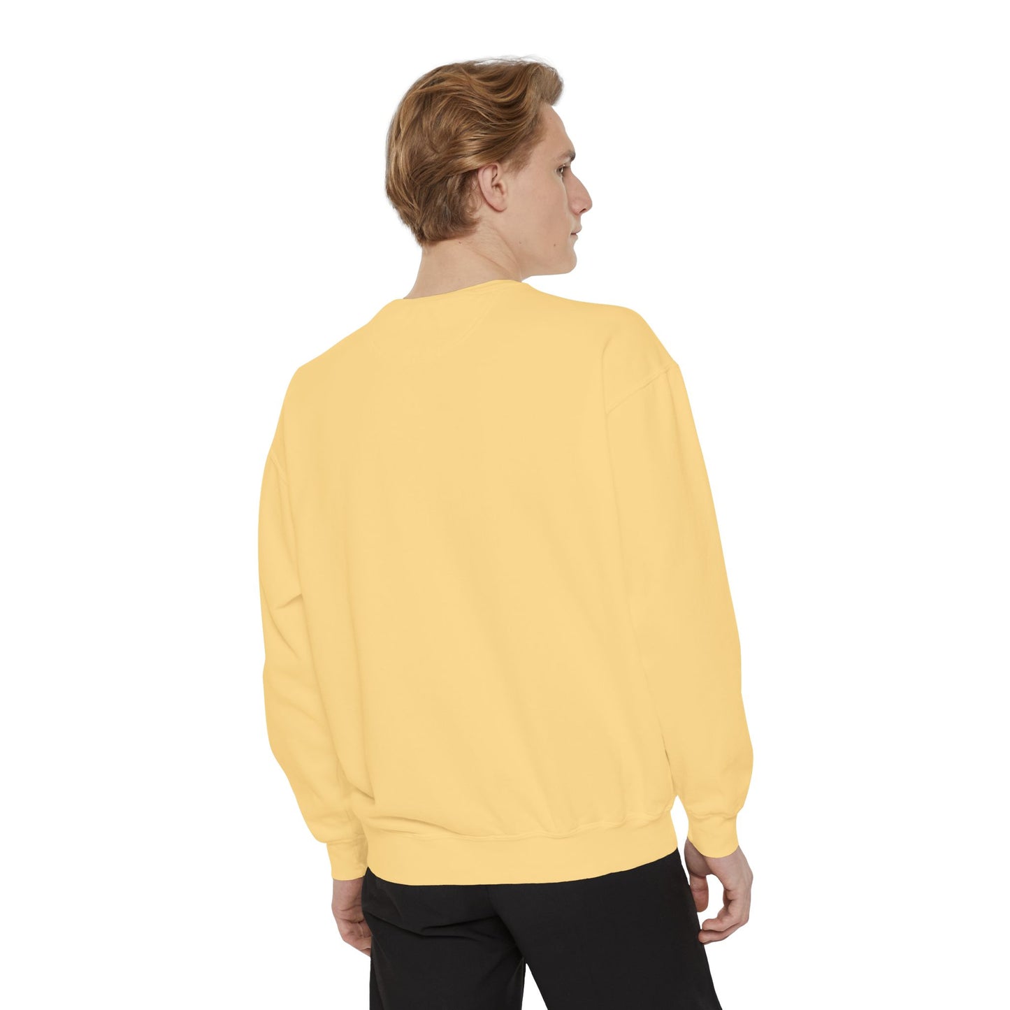 'BYHINNY' sweatshirt (black)